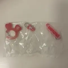 TWICE LOVELYS アクリルカラビナフロッキーマスコット チェンブリー