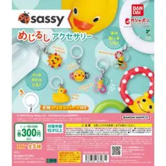 Sassy めじるしアクセサリー全5種フルセット