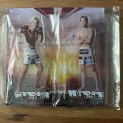 Item thumbnail for item 6a0e3bd3-6b75-4f2e-a4c7-32a3ed98017e