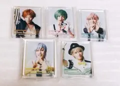 エーステ  アニカフェ コロッタ 夏組セット 【新品】