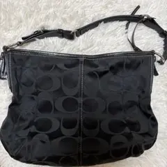 Item thumbnail for item cb7c4897-ba2d-427f-9635-dbc0ba41b256