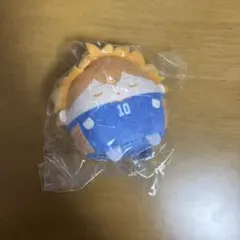 ハイキュー ぬいくじ E賞 日向翔陽