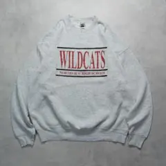 90s USA製 フルーツオブザルーム スウェット WILDCATS グレー