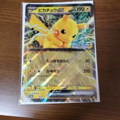 非売品　ポケモンJRスタンプラリー　ピカチュウex