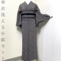 2026年最新】着物と帯_時流の人気アイテム - メルカリ