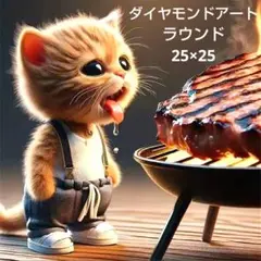 ダイヤモンドアートキット　ラウンド　25×25