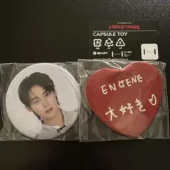 ソヌ ENHYPEN 缶バッジ house of vampire ガチャ