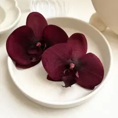 Item thumbnail for item ea5ca429-2d0a-4ae1-846d-cb9336244f0f