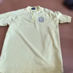 Item thumbnail for item 0b90427e-13c1-4f28-b6c0-2712013dbaec