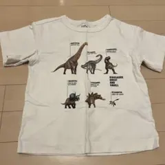 Item thumbnail for item 926e126b-7d36-4e65-b4d7-3e226fbcd786