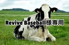 イエロー3、オレンジ2