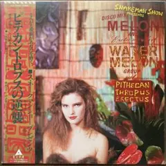 ソニック・テンプル &frasl; カルト 紙ジャケット | Mercari