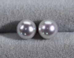 国産あこや真珠 コバルト 強いピンク 6.9mm ピアス （S925）真珠