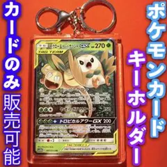 ポケモンカード ポケカ キーホルダー セット モクロー&アローラナッシーGX