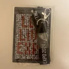 LDH LIVE EXPO パスケース