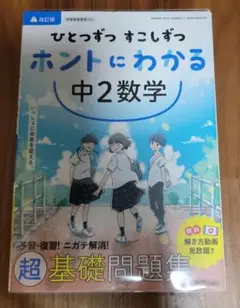 ひとつずつ すこしずつ ホントにわかる 中2数学