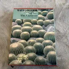 サボテン科大事典: 266属とその種の解説 伊藤 芳夫　絶版 Amazon.co.jp: サボテン科大事典: 266属とその種の解説 : 伊藤