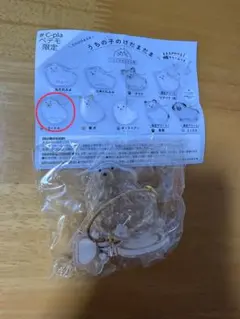 うちの子のけだまだま