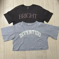 ガールズM クロップドTシャツ　2枚