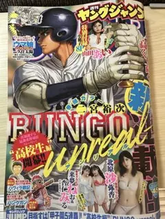 週刊ヤングジャンプ 第2228号