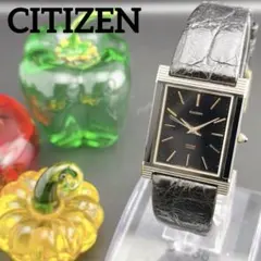 希少タグ付 未使用品 CITIZEN シチズン カスタリア 手巻 WGP 23石