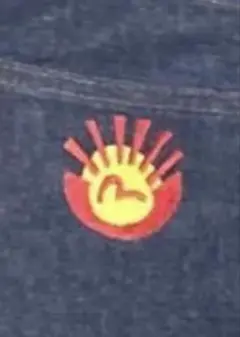 2026年最新】evisu ジーンズ刺繍の人気アイテム - メルカリ