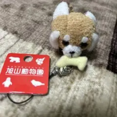 Item thumbnail for item f927d23d-64c9-46de-8505-8c0cfd4e6c89