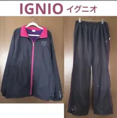 ウィンドブレーカー ディズニー ミニー 【上下セット】