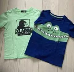 patagonia☆XLARGE Tシャツ　2枚セット