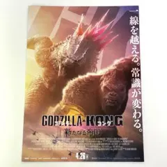 映画 ゴジラxコング 新たなる帝国 B5サイズ 映画チラシ フライヤー
