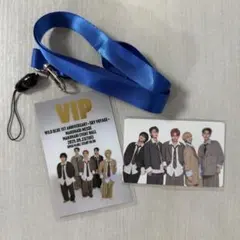 WILDBLUE SKY VOYAGE VIPパス プレショ限定トレカ 銀テ付