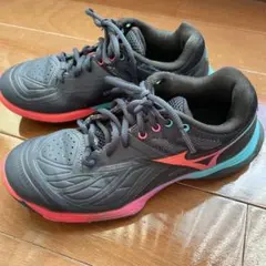 2026年最新】バドミントン シューズ ミズノ ウェーブファングの人気