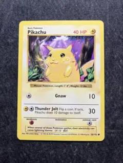 m43338112335_1.jpg?1770012600