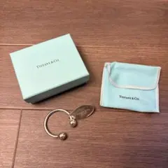 Tiffany & Co. CENTURION アメックスセンチュリオン非売品 - メルカリ