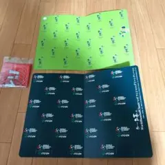 Item thumbnail for item 9ce8e2f3-523b-4546-90c7-dbb4f07a3853