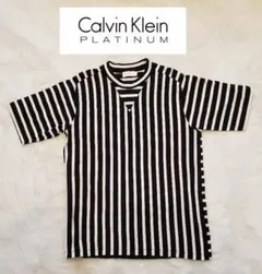 【美品】カルバンクライン プラチナム　 Tシャツ　Calvin Klein