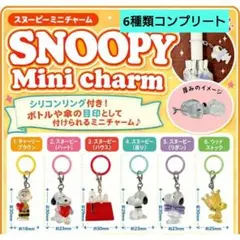 匿名配送·新品 スヌーピー ミニチャーム 6種コンプリートセット