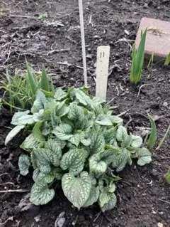 るるれれろ様 リクエスト 2点 まとめ商品