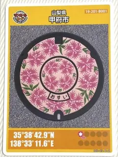 マンホールカード　　25弾 　西ノ島 Yahoo!オークション - 25弾 島根県 西ノ島町 初版001 マンホール