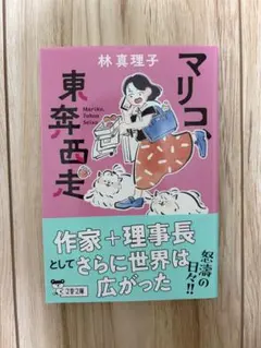 未使用 林真理子 マリコ東奔西走 エッセイ