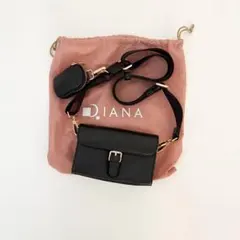 2026年最新】DIANA ショルダーバッグの人気アイテム - メルカリ