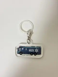 TOKYO MER アンブレラマーカーコレクション NAGOYA ERカー - メルカリ