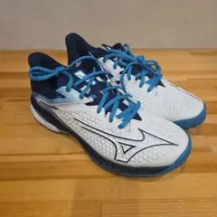 Item thumbnail for item d55686e0-f8b5-4e17-97fd-819c24483186