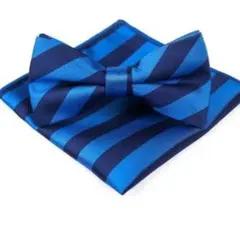 蝶ネクタイ　ポケットチーフ　2点セット　結婚式　イベント　パーティー　ワンタッチ