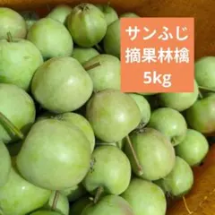 摘果りんご　加工用サンふじ林檎　約5キロ 送料込み　25のサムネイル