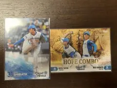 Item thumbnail for item 226a514f-17cc-457d-b3c1-f99458ce0951