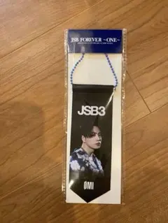 三代目J SOUL BROTHERS 登坂広臣　ミニタペストリーのサムネイル