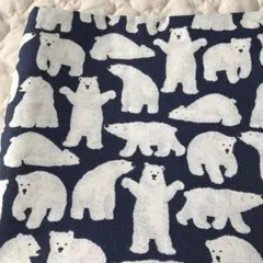 Item thumbnail for item 57b2e16a-cc6d-48d1-a8de-3289dafe756d