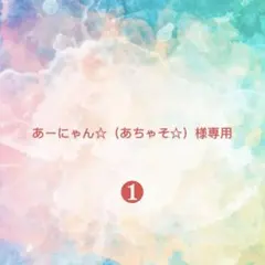 あーにゃん☆（あちゃそ☆）様確認専用ページ【取り置き中】❶