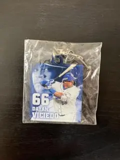 ぐっぴぃ様 リクエスト 2点 まとめ商品